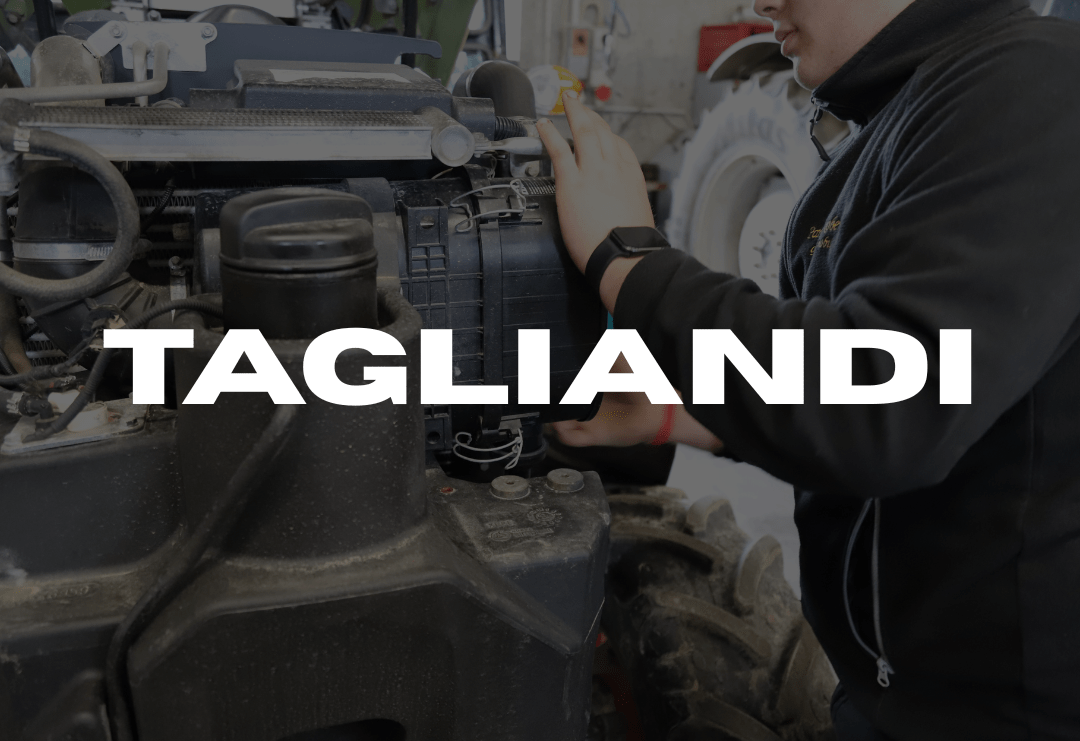 tagliandi macchine agricole